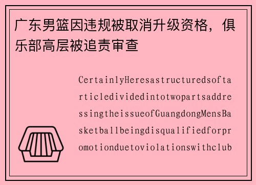广东男篮因违规被取消升级资格，俱乐部高层被追责审查